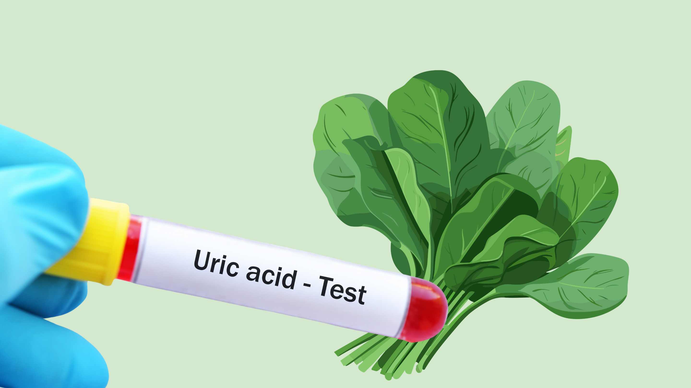 People with high uric acid levels should stay away from spinach. Graphic photo: Hoang Loc