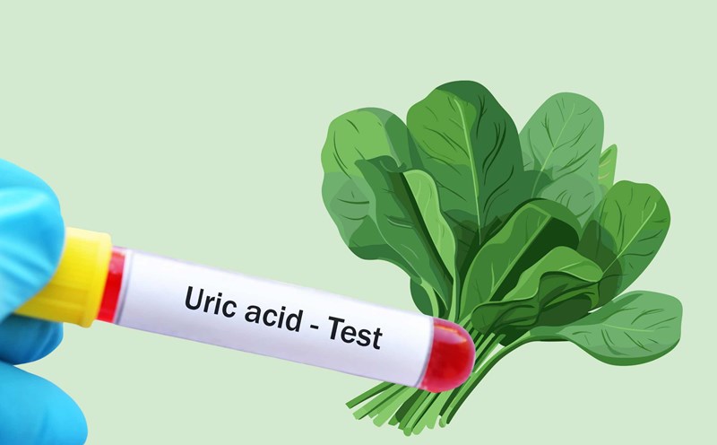 People with high uric acid levels should stay away from spinach. Graphic photo: Hoang Loc