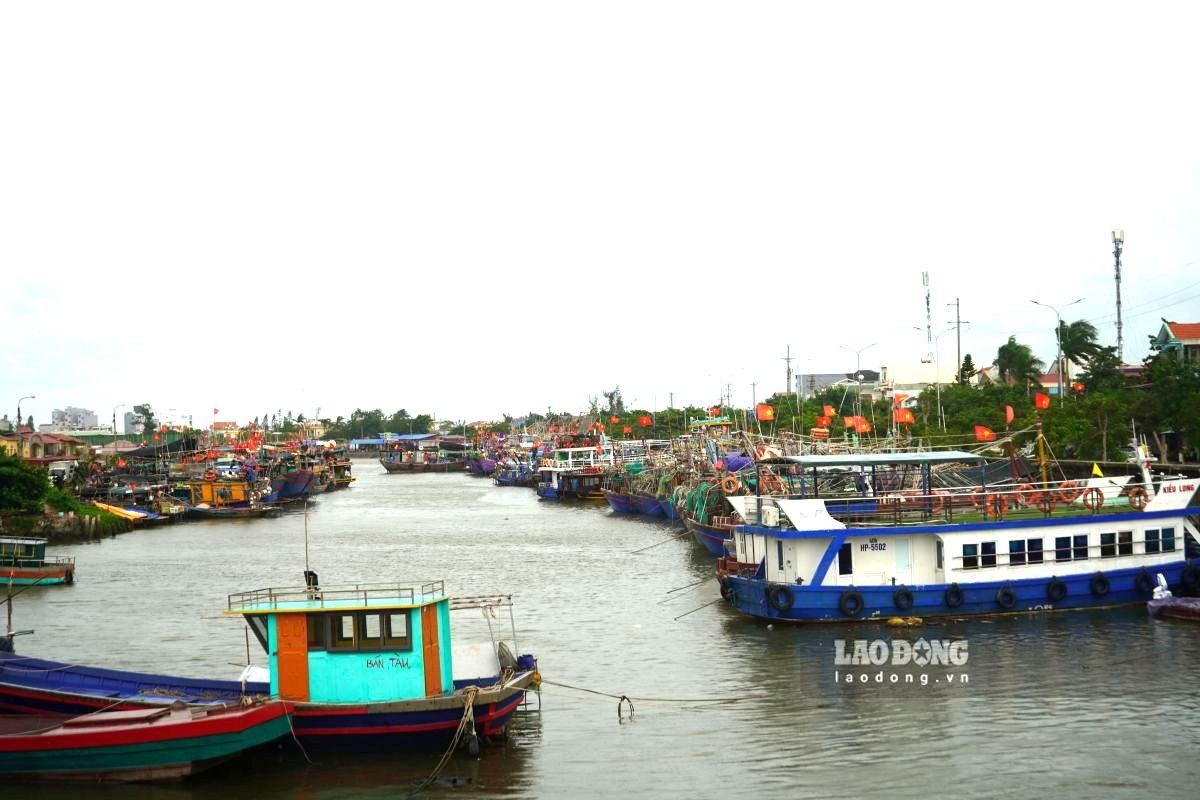 Tau thuyen khu vuc ben ca Ngoc Hai neo dau an toan. Ảnh: Mai Dung