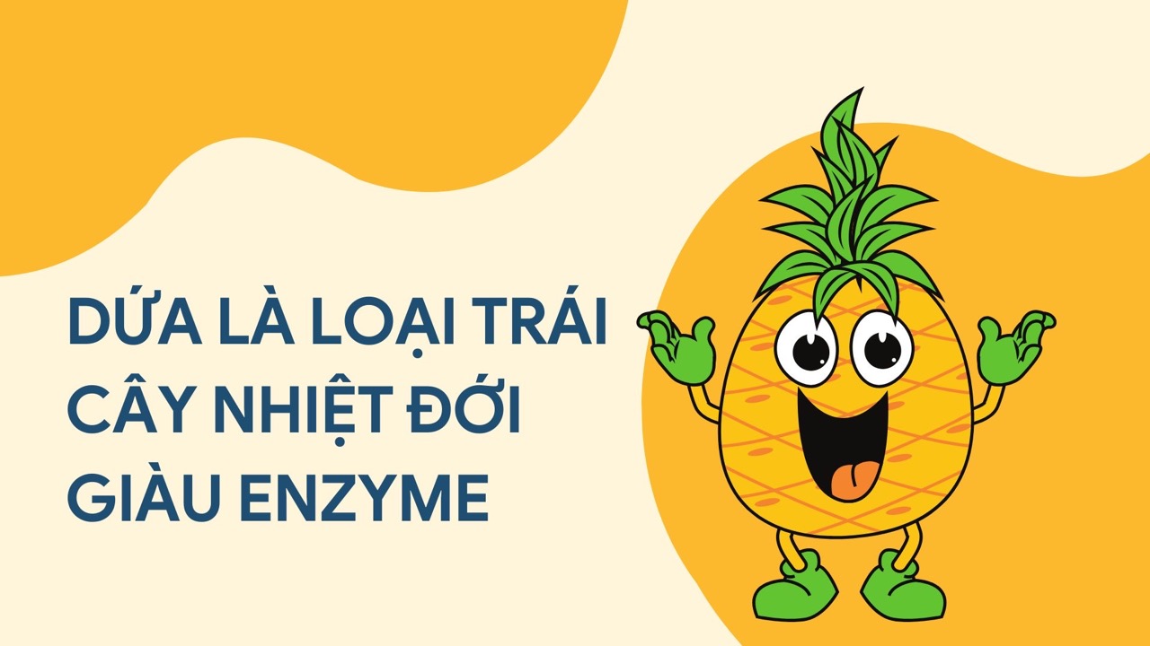 L'ananas est un fruit prefere de nombreuses personnes bon pour les reins s'il est utilise correctement. Photo graphique : Huong Son