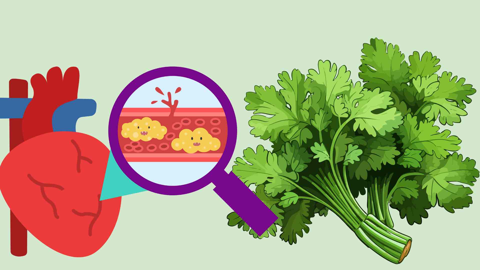 ほうれん草は、脂肪を減らし、心血管疾患を予防し、全体的な健康を改善するのに役立ちます。写真:Huong Giang
