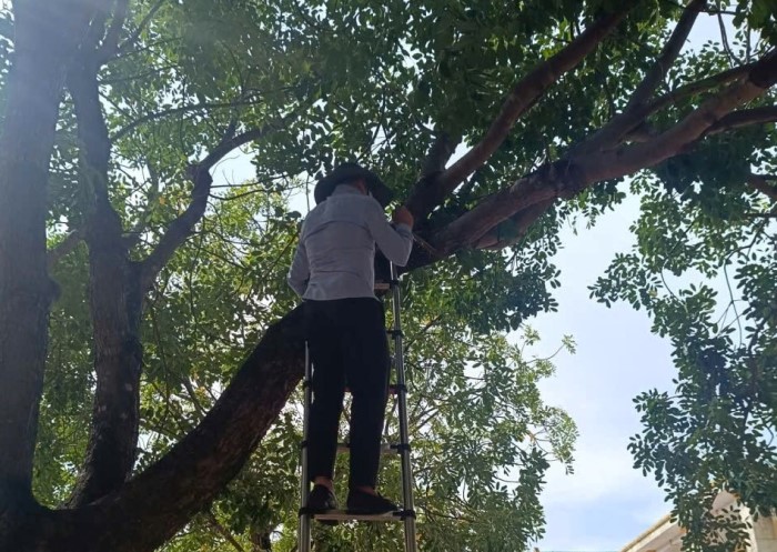 Chat tia cay tai cac truong hoc tren dia ban xa Ky Anh - tinh Ha Tinh. Anh: Song Han