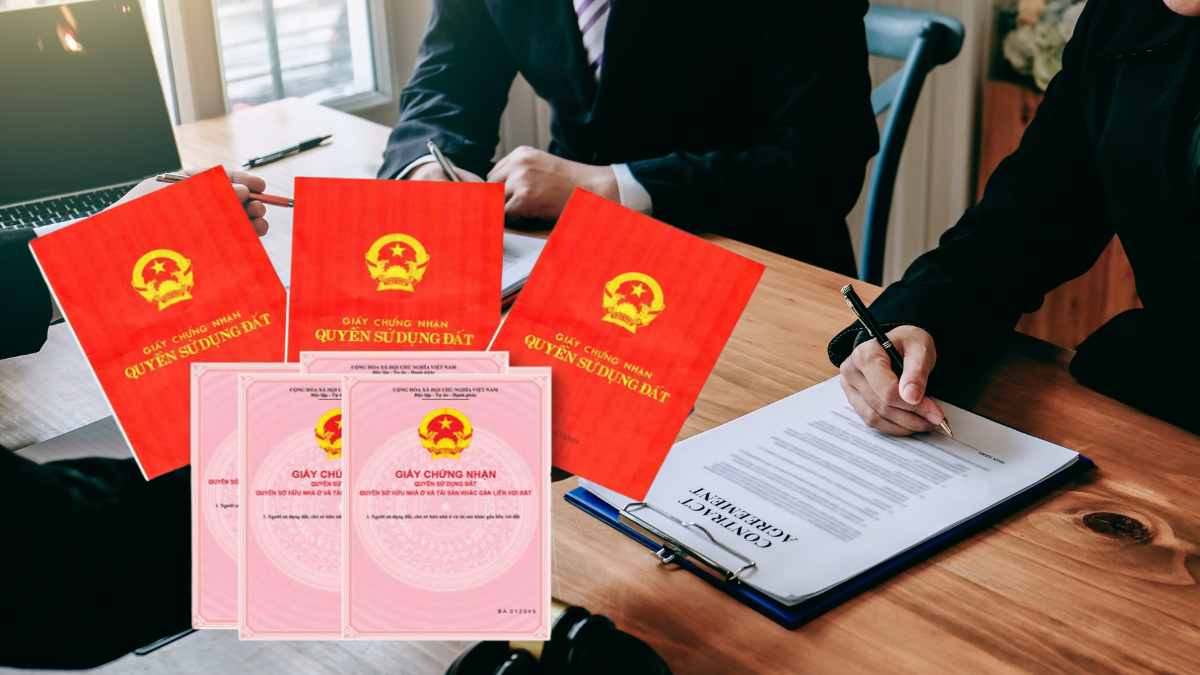 Quy định trình tự, thủ tục cấp lại sổ đỏ đã cấp do bị mất. Đồ họa: Trà My