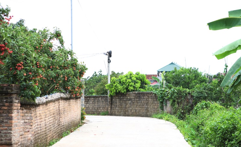 Bac Ninh province promotes the implementation of the National Target Program on New Rural Development and Sustainable Poverty Reduction. Photo: Nguyen Mien