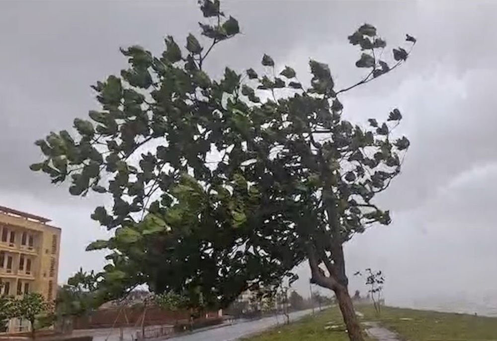 Storm No. 10 is about to make landfall, many communes and wards in Ha Tinh have no power. Photo: Tran Tuan