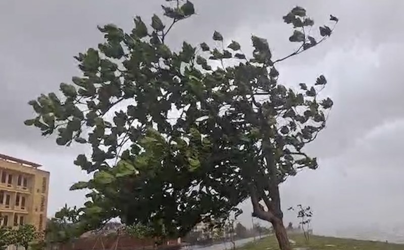 Storm No. 10 is about to make landfall, many communes and wards in Ha Tinh have no power. Photo: Tran Tuan