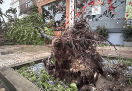 Une serie d'arbres allumees sur la racine, le toit en tole ondulee est tombe sur la route a Quang Tri