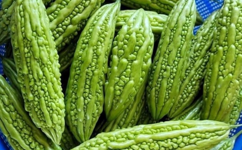 Bitter melon is one of the vegetables that should be included in the diet to help prevent diabetes. Photo: Kieu Vu