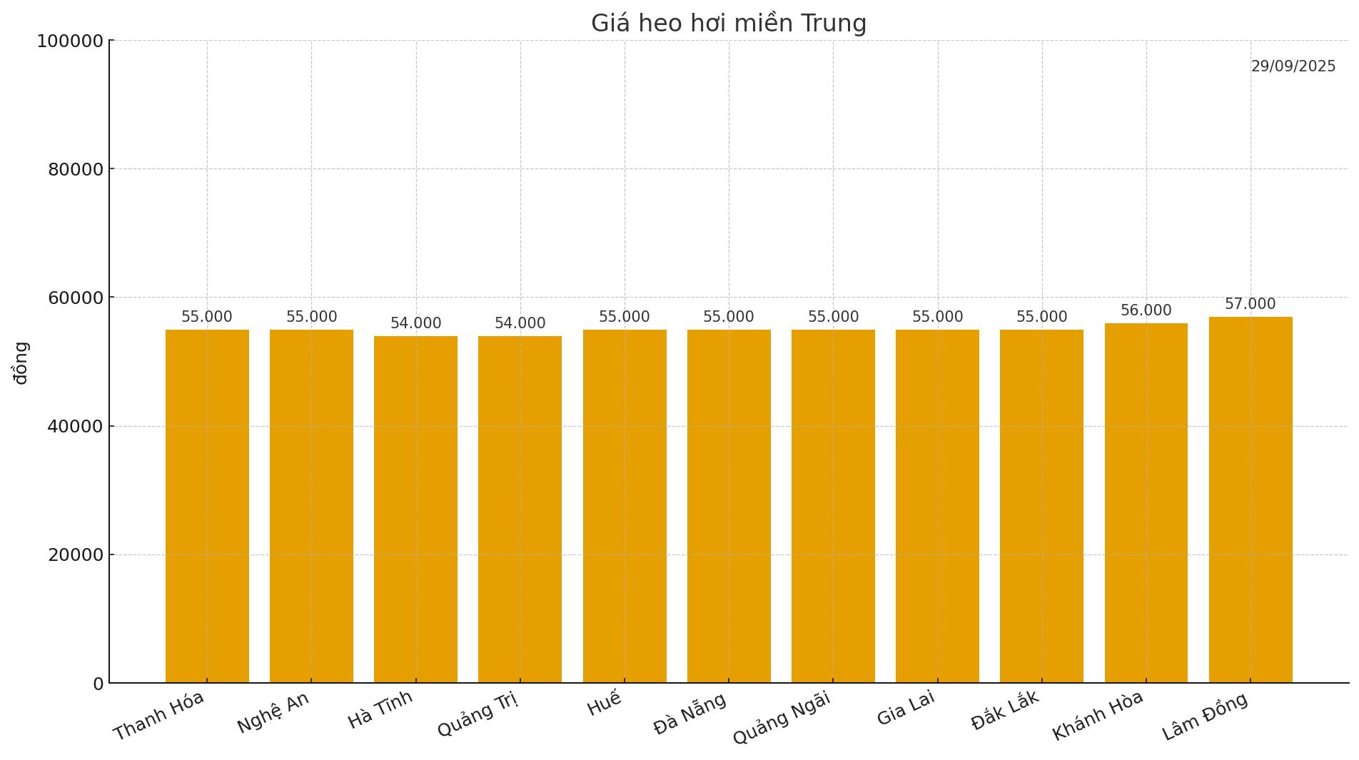 Gia heo hoi hom nay 29.9 tai mien Trung. Do hoa: Thuy Linh.
