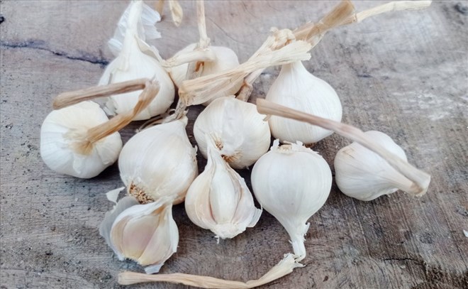 Garlic is a food rich in antioxidants that help control blood sugar. Graphics: Thanh Thanh