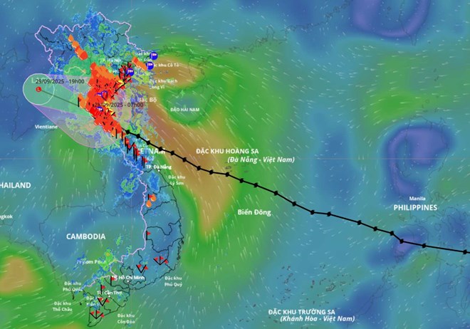 Updated location and path of storm No. 10 Bualoi at 8:00 a.m. on September 29. Source: Vietnam Disaster Monitoring System