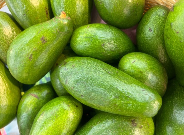 Eating half an avocado at lunch significantly reduces visceral fat. Photo: Kieu Vu.