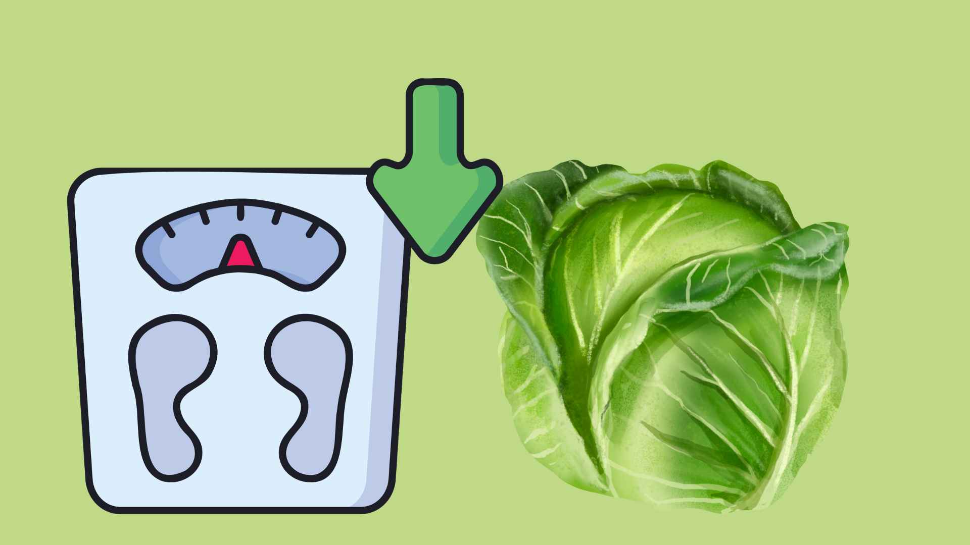 Cabbage is a powerful "assistant" for quick weight loss. Graphic photo: Hoang Loc