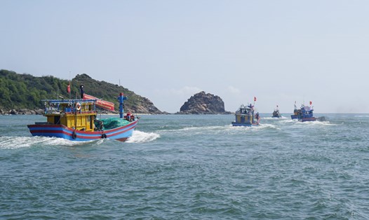 Tàu thuyền của tỉnh Gia Lai hoạt động trên biển. Ảnh: Hoài Phương