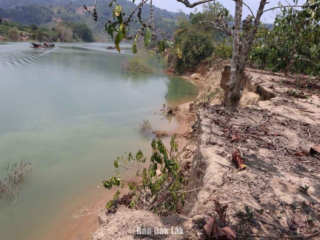 A location of the Krong No river through Nam Ka commune was seriously eroded. Photo: Hoang Tuyet