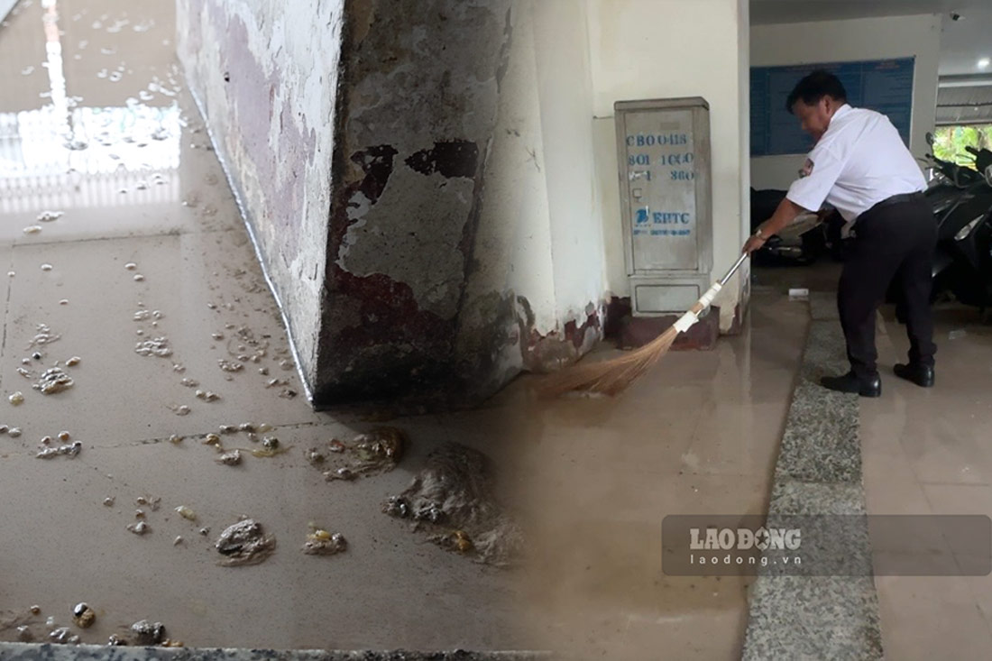 Nước thải bẩn tràn khắp sảnh chung cư ở trung tâm TPHCM, bốc mùi. Ảnh: Nhóm PV