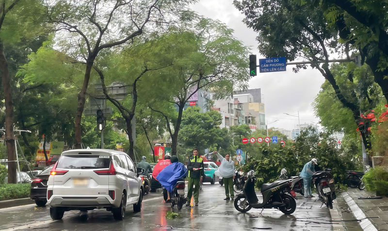 Nhieu khu vuc cay do giua long duong gay can tro giao thong trong khu vuc. Anh: Minh Chinh