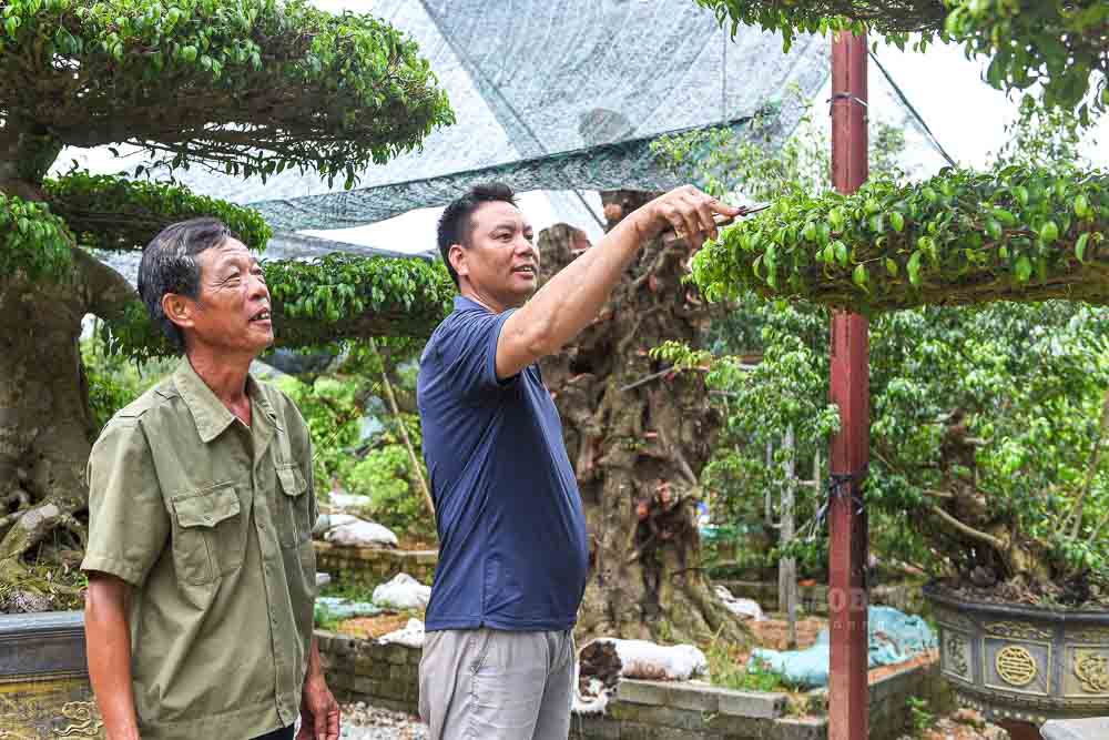 Voi nhung thanh tich ay, nam 2022 ong Giang duoc vinh danh la Hoi vien Hoi nong dan xuat sac toan quoc, va nam 2023 nhan bang khen cua Thu tuong Chinh phu.