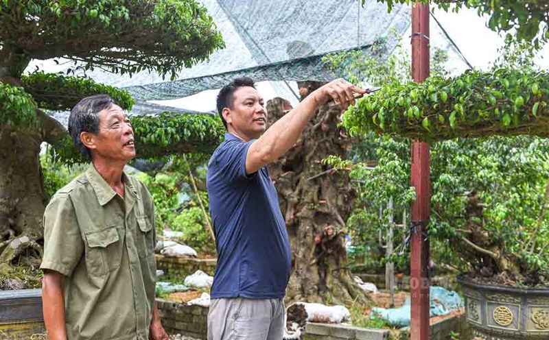 Coming to My Tan village, visitors not only admire the brilliant, ancient and ornamental Asian gardens, but also clearly feel the spirit of innovation, creativity and efforts to overcome difficulties of the people.