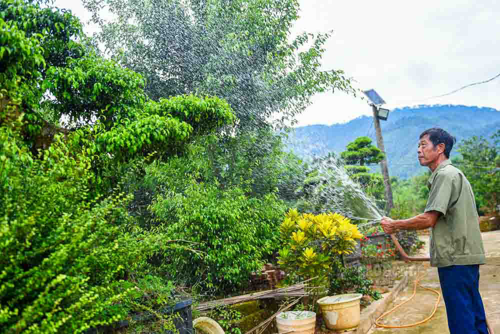 Tieu bieu la truong thon Tran Van Giang – nguoi tien phong dua My Tan thanh lang cay canh. Ong so huu gan 3 ha vuon, doanh thu khoang 400 trieu dong moi thang, dong thoi tao viec lam cho nhieu lao dong.