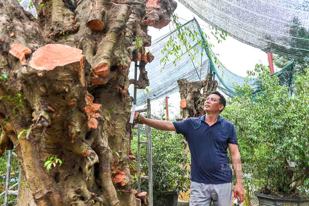 Gia dinh anh Luu Van Hung cung la mot trong nhung ho dau tu bai ban, so huu hon 1 ha vuon Sanh va Tung la han, loi nhuan hang nam tren 500 trieu dong.