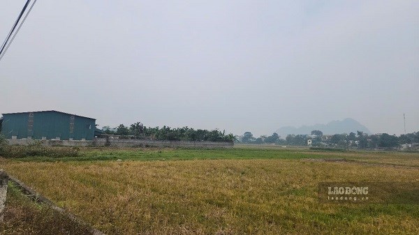 Công an Hưng Yên cảnh báo thủ đoạn lạm dụng tín nhiệm trong mua bán đất đai. Ảnh: Minh Hạnh