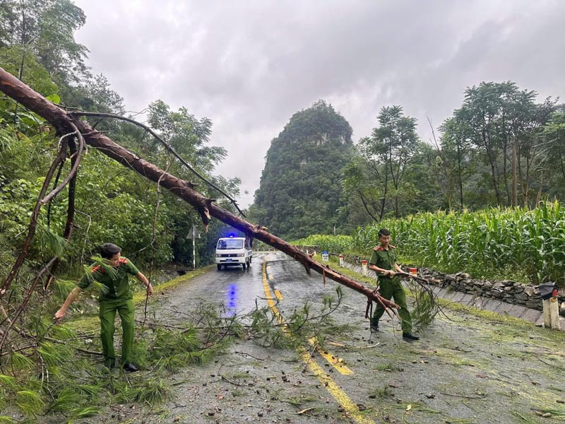 Cong an xa Ha Lang don dep cay gay do. Anh: Cong an Cao Bang