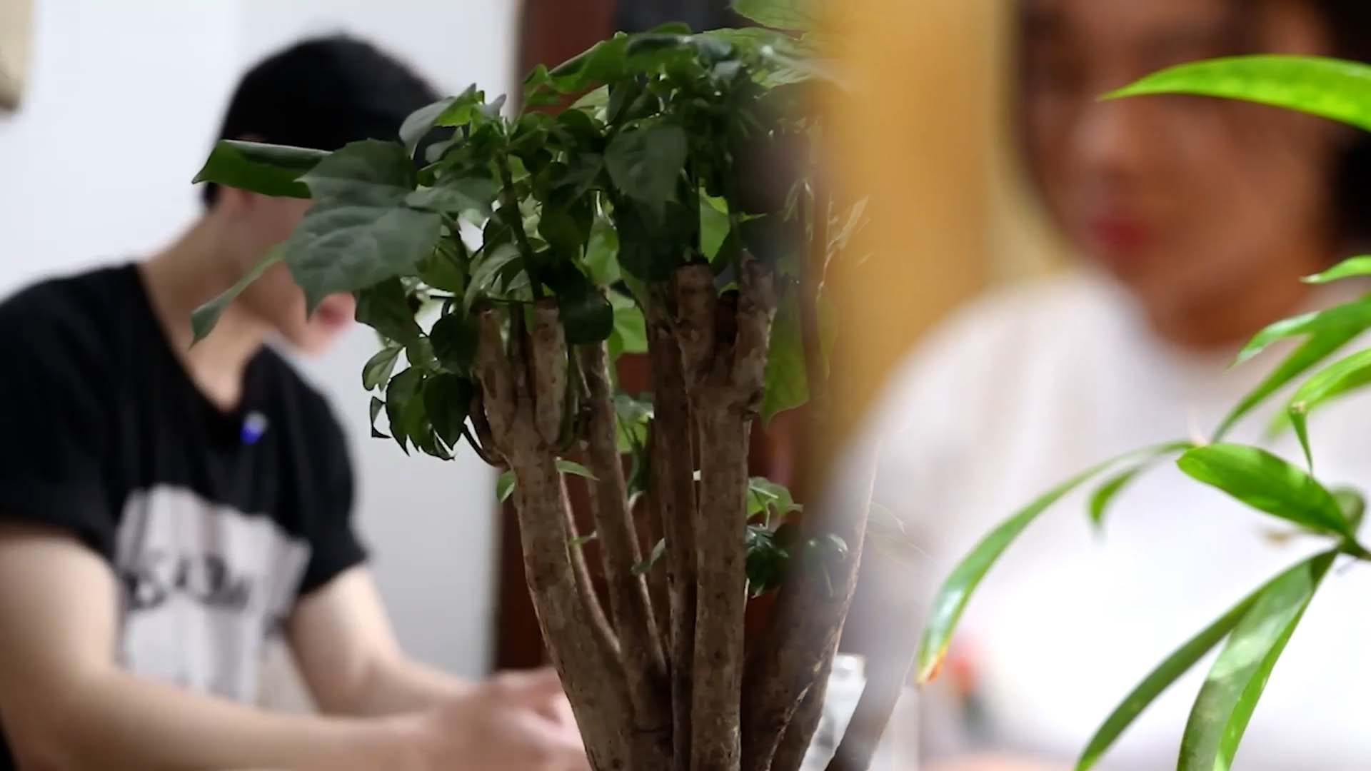 S'aimer loin et les pressions lorsqu'on entre dans le mariage