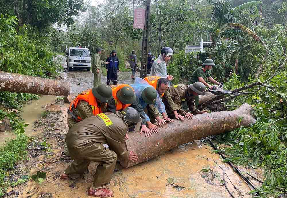 Cong an cat don cay do chan ngang duong. Anh: Cong an Ha Tinh.
