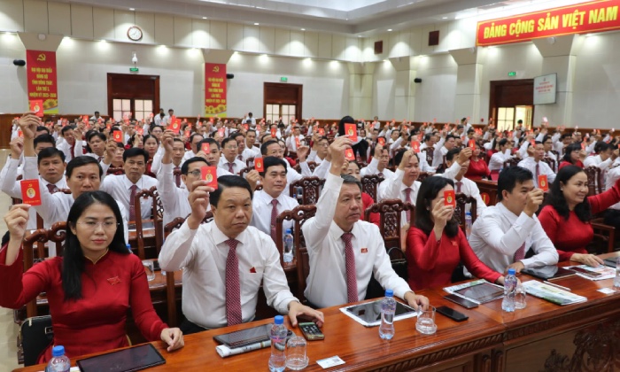 Dai hoi co tong so 450 dai bieu chinh thuc, trong do 52 dai bieu duong nhien, 398 dai bieu duoc chi dinh tu cac Dang bo truc thuoc Tinh uy, dai dien cho hon 120.676 dang vien toan tinh Dong Thap. 
