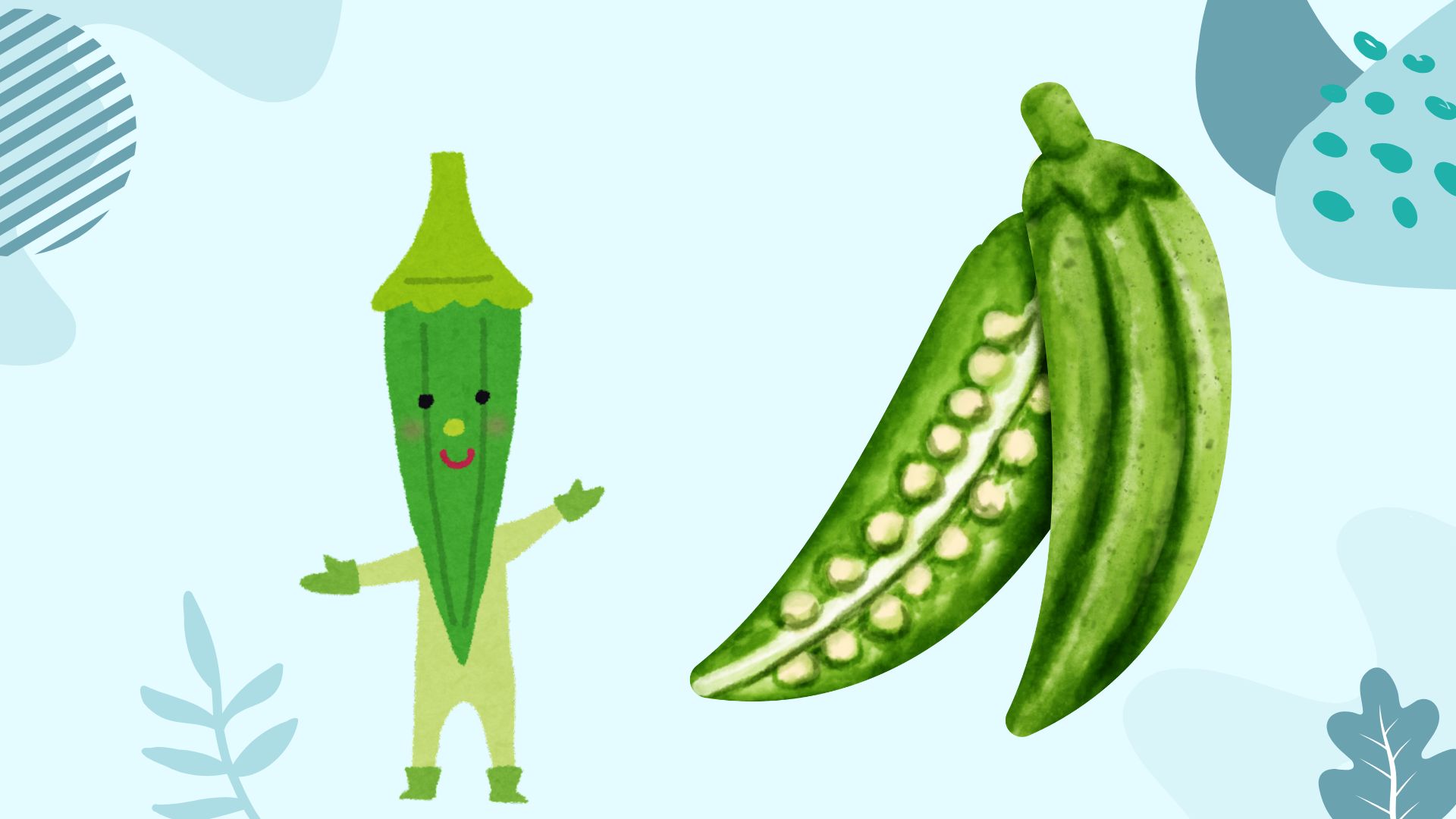 Okra is a good food for cardiovascular and diabetic patients, supporting the elimination of visceral fat. Graphic photo: Huong Son