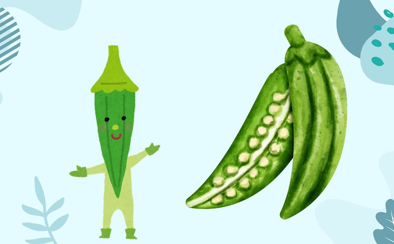 Okra is a good food for cardiovascular and diabetic patients, supporting the elimination of visceral fat. Graphic photo: Huong Son