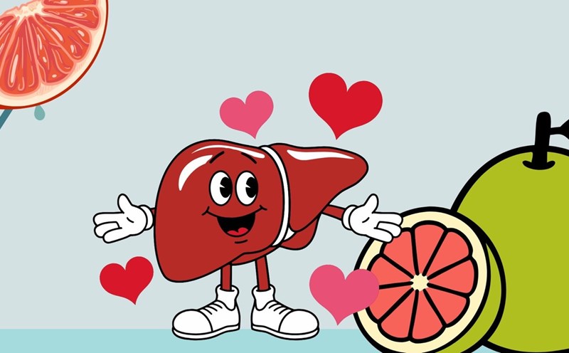Grapefruit contains many antioxidants, helping to detoxify the liver effectively. Graphic photo: Huong Son