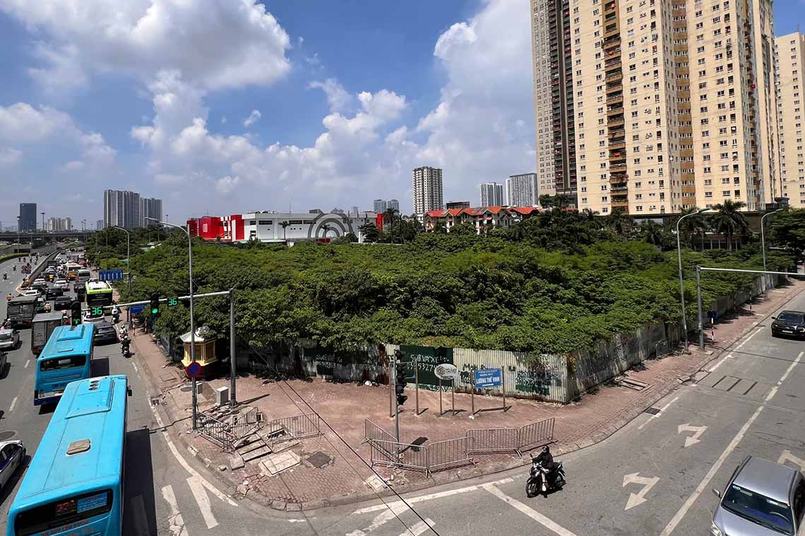 The golden land left vacant after two decades has turned into a dense forest in Hanoi. Photo: Huu Vu