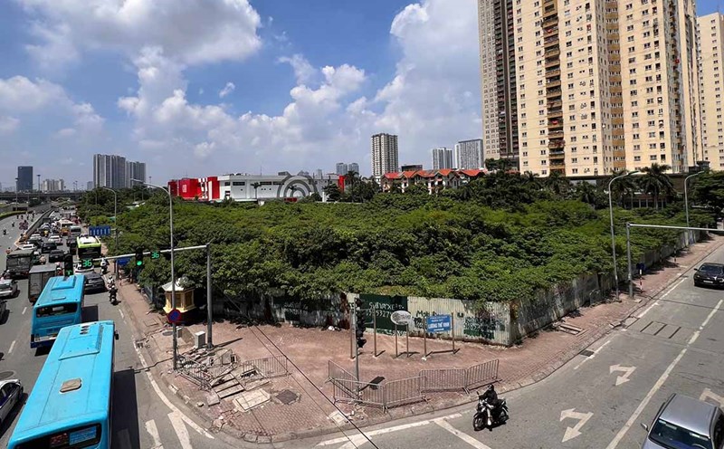 The golden land left vacant after two decades has turned into a dense forest in Hanoi. Photo: Huu Vu