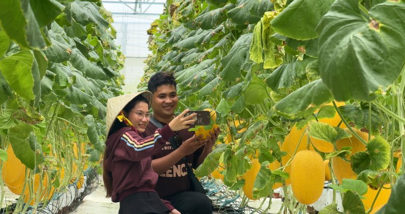 More than 176,000 visitors visited and experienced Vinh Long tourist attractions during the September 2 holiday. Photo: Hoang Loc