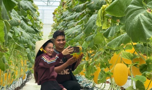 Hơn 176.000 lượt khách tham quan, trải nghiệm tại các điểm du lịch Vĩnh Long trong dịp lễ 2.9. Ảnh: Hoàng Lộc