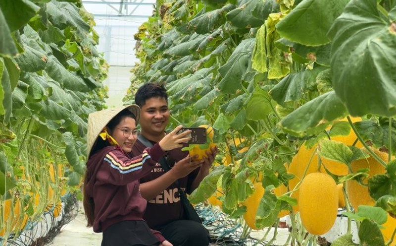 More than 176,000 visitors visited and experienced Vinh Long tourist attractions during the September 2 holiday. Photo: Hoang Loc