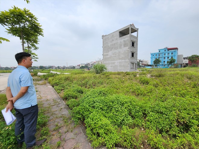 La Asociacion de Bienes Raices de la ciudad de Ho Chi Minh propone agregar hogares que son usuarios de la tierra. Foto: Cao Nguyen.
