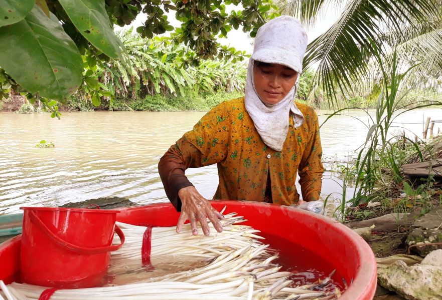 Nguon von tin dung chinh sach da giup nhung ho ngheo, can ngheo, hoan canh kho khan co dieu kien san xuat, phat trien sinh ke ho. Anh: Phuong Anh