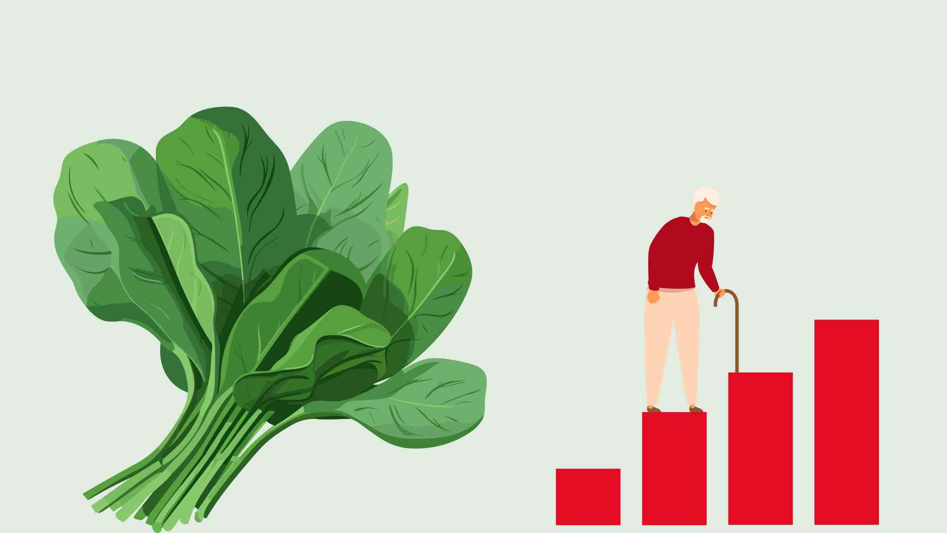 Eating spinach can help increase life expectancy. Graphic photo: Hoang Loc