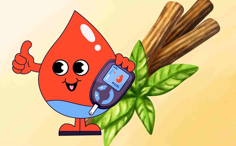 Herbs that are as sweet as sugar but help control blood sugar effectively