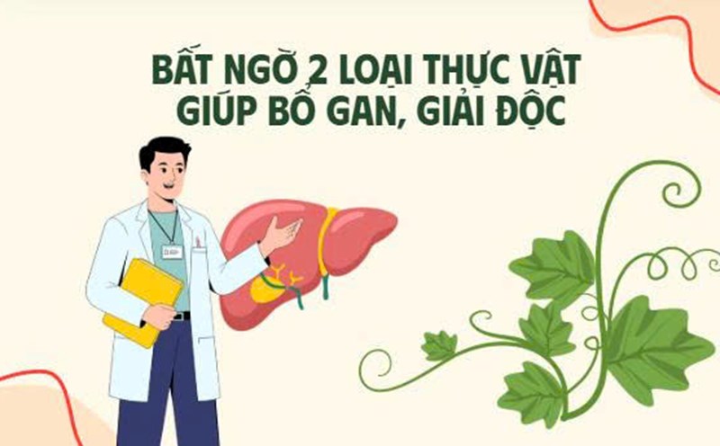 Surprisingly, 2 types of plants help nourish the liver and detoxify