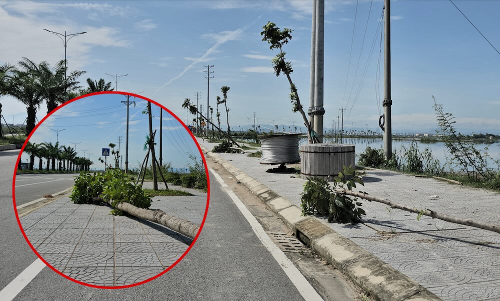 Plus de 100 arbres sur une route de cent milliards de dongs a Hue sont tombes apres la tempete n° 10. Photo : Nguyen Luan