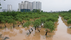 台風No. 10が数十億のドンの損害を危険にさらした後、デュオンノイピーチガーデンは浸水しました.