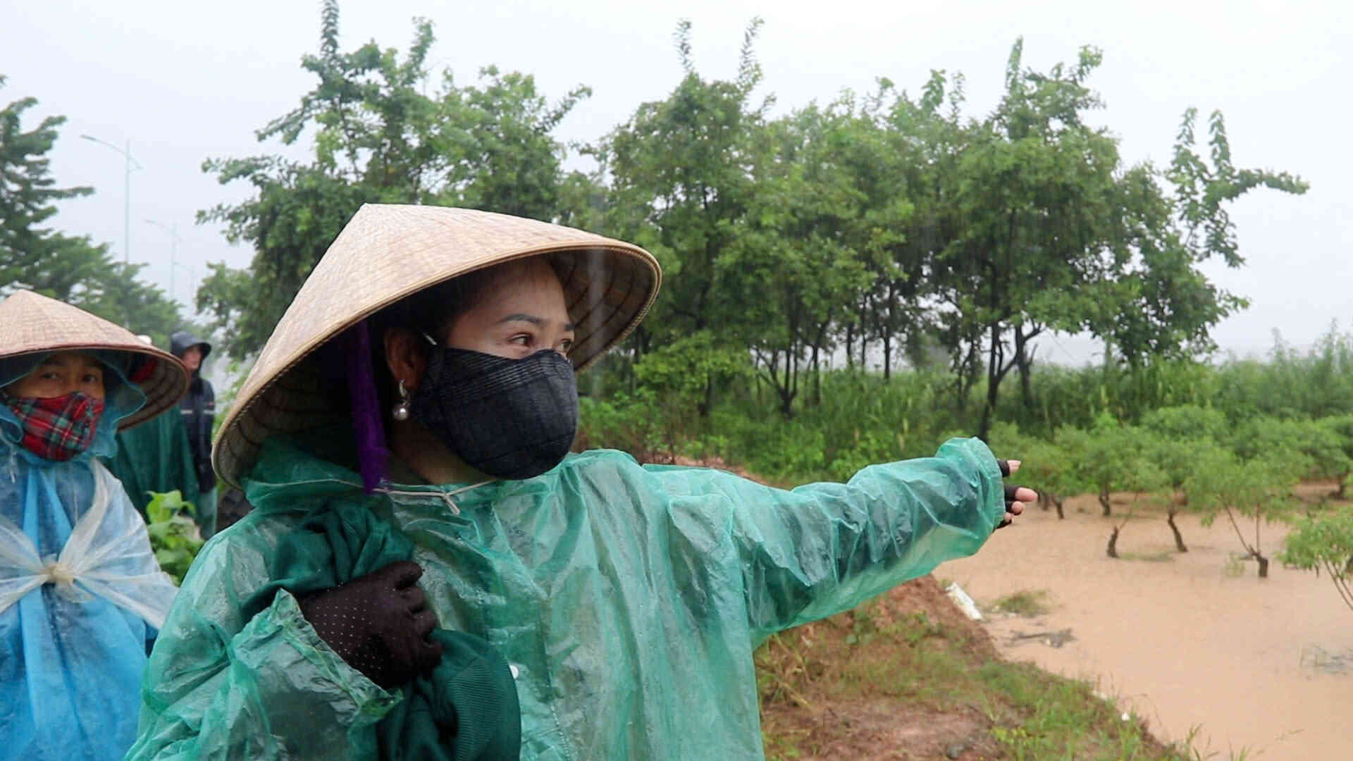 Vuon trong dao cua ba Nguyen Thi Xuyen phuong Duong Noi, Ha Noi xuat hien nhieu goc ua la, thoi goc. Anh: My Linh 