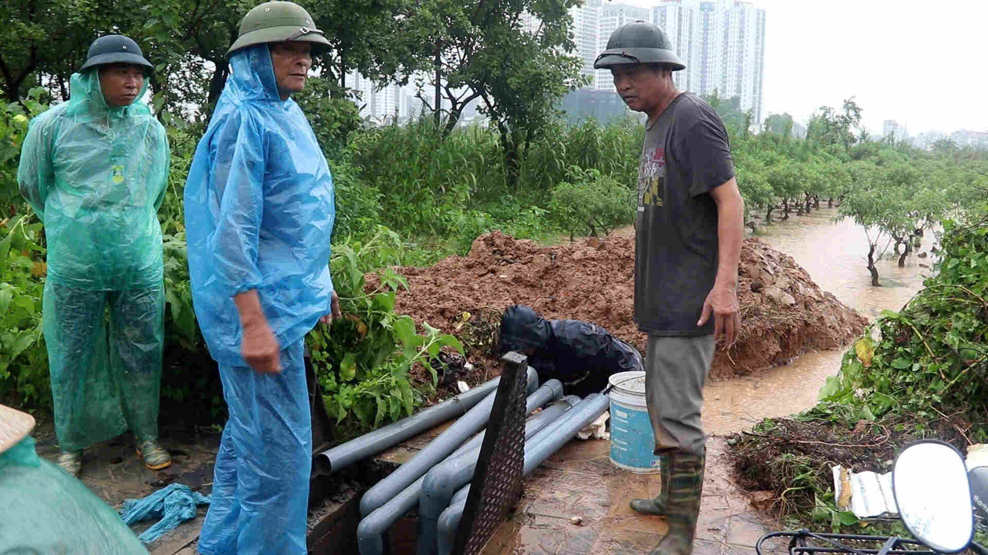 Hang chuc ho dan tat bat khoi thong dong chay, lap ong dan bom thoat nuoc cho hon 8ha dao bi ngap. Anh: My Linh