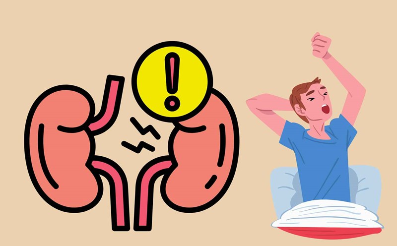 Skipping the habit of drinking water when waking up makes the kidneys less effective in detoxifying. Graphic photo: Hoang Loc