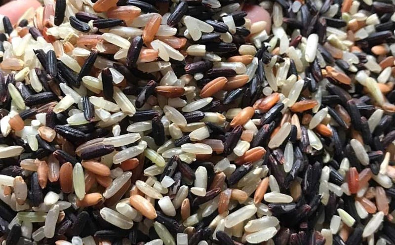 Brown rice is one of the whole grains that should be eaten in the morning to be good for the kidneys. Photo: Quang Minh.