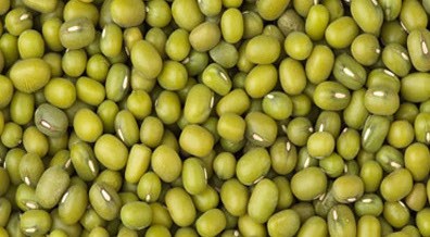 With low purine content, rich in fiber,...blue beans help reduce inflammation, supporting the kidneys to excrete uric acid. Photo: Kieu Vu.